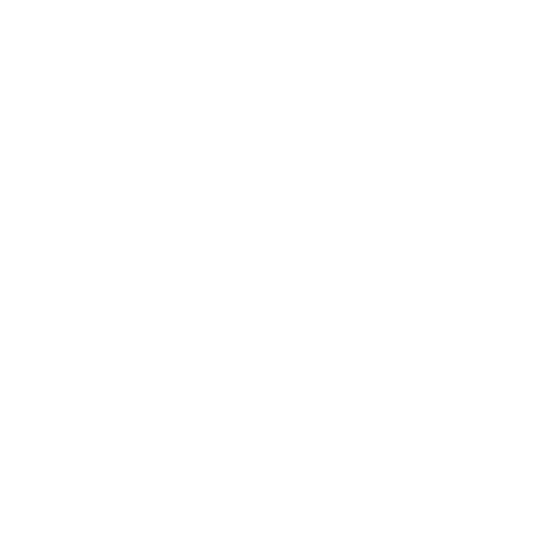ev